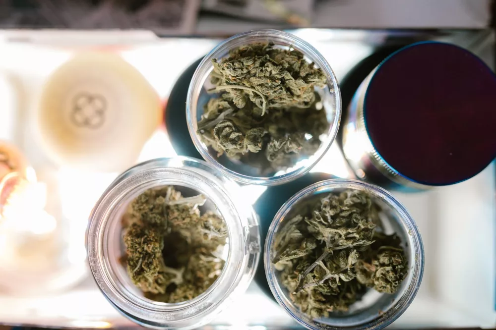 Trulieve: An Inside Look at a Cannabis Industry Giant